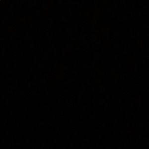 Meet your Posher, Cornelius